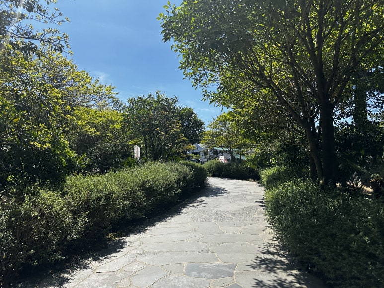 서촌제한라수목원점 이미지