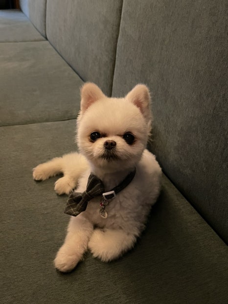 장싸롱 리저브 이미지
