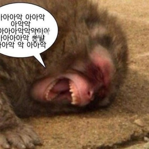 운천생고기육회 이미지