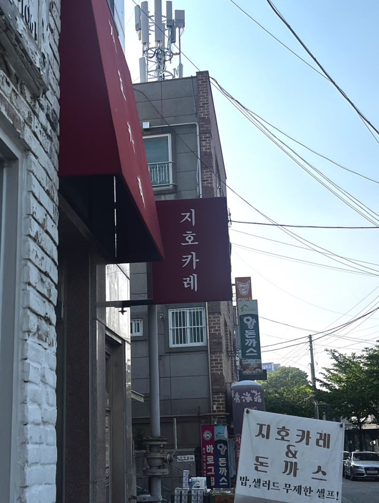 지호카레 이미지