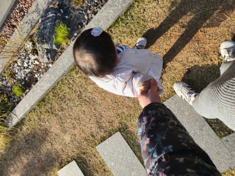 세종우리성모안과 이미지