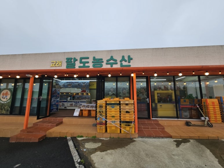팔도렌트카 이미지