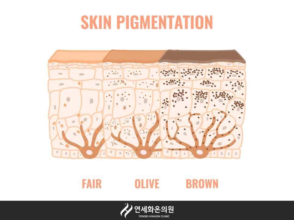 세화의원 이미지