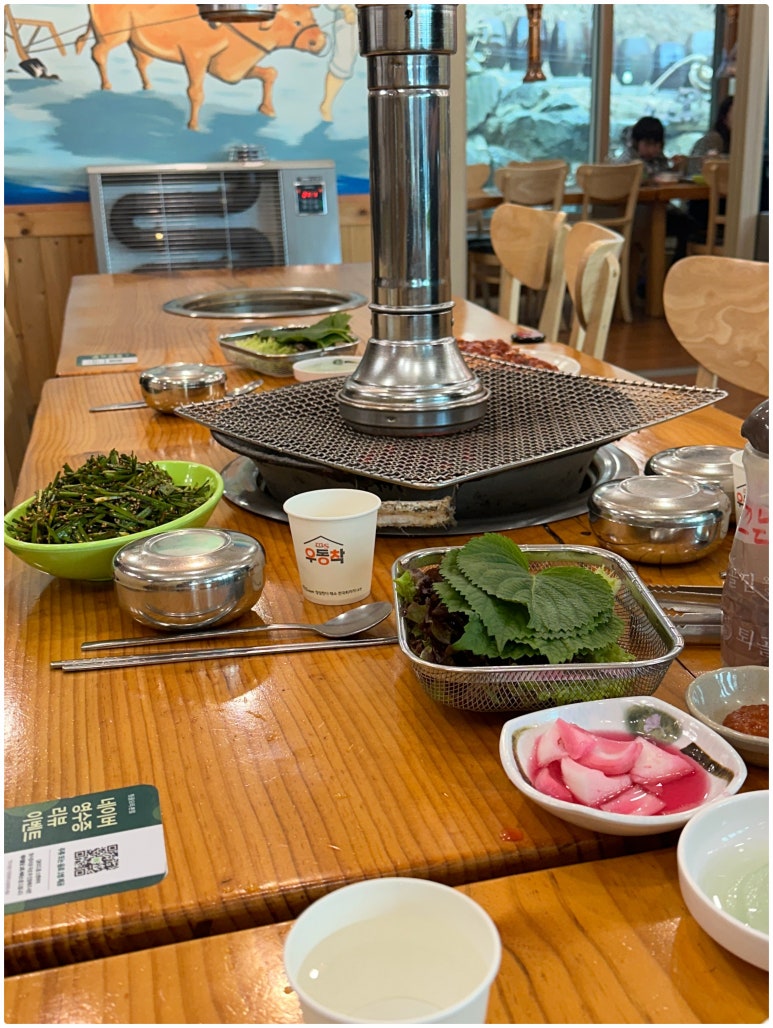 다 오리 이미지