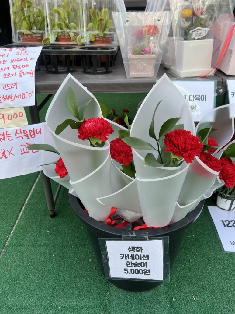 포나꽃마켓 이미지