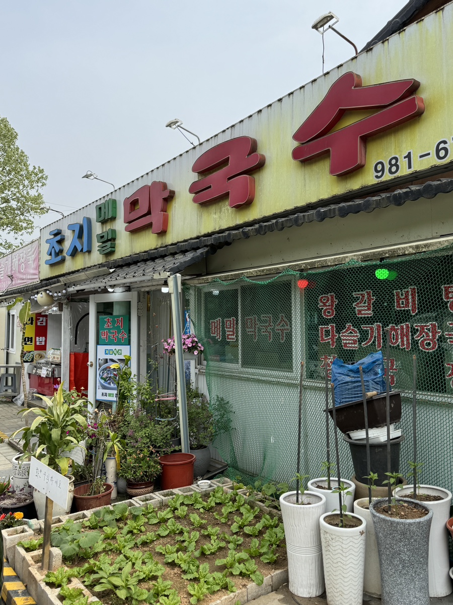 초지메밀막국수 이미지