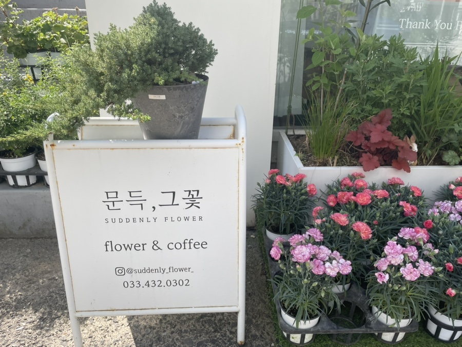 문득그꽃 이미지
