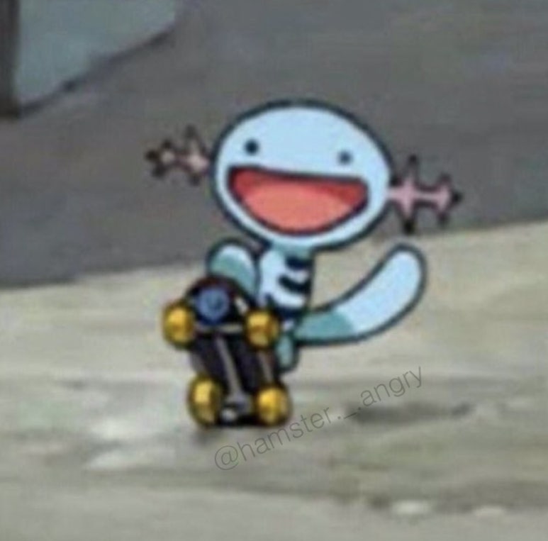 블링뷰 이미지