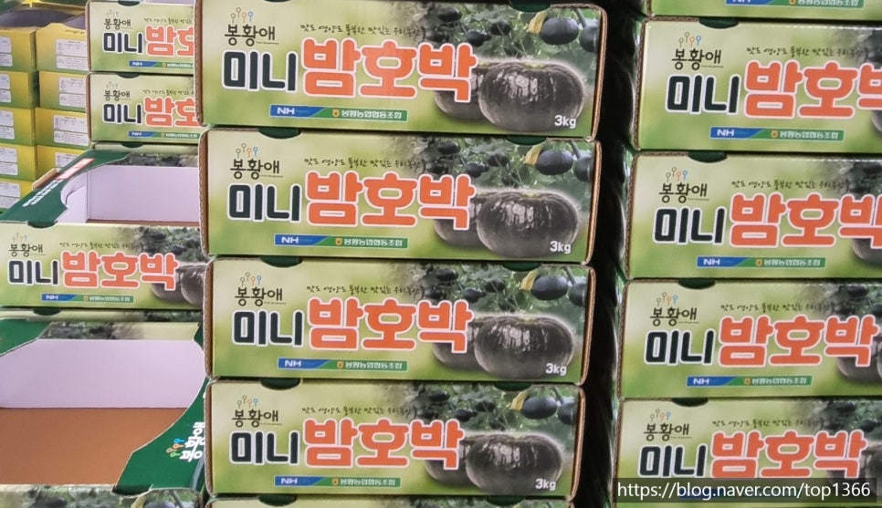봉황농협 이미지