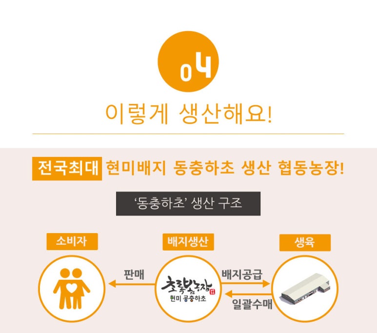 봄푸드 이미지