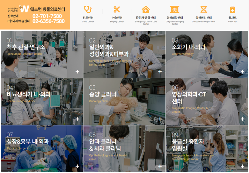 수의골관절학회 이미지