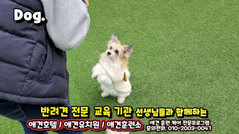 송정이용원 이미지
