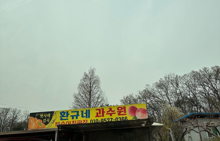 환규네과수원 이미지