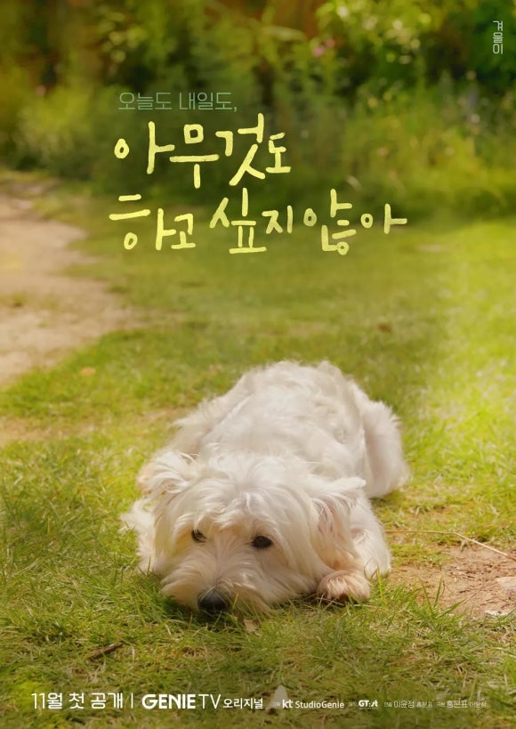 성민당구장 이미지