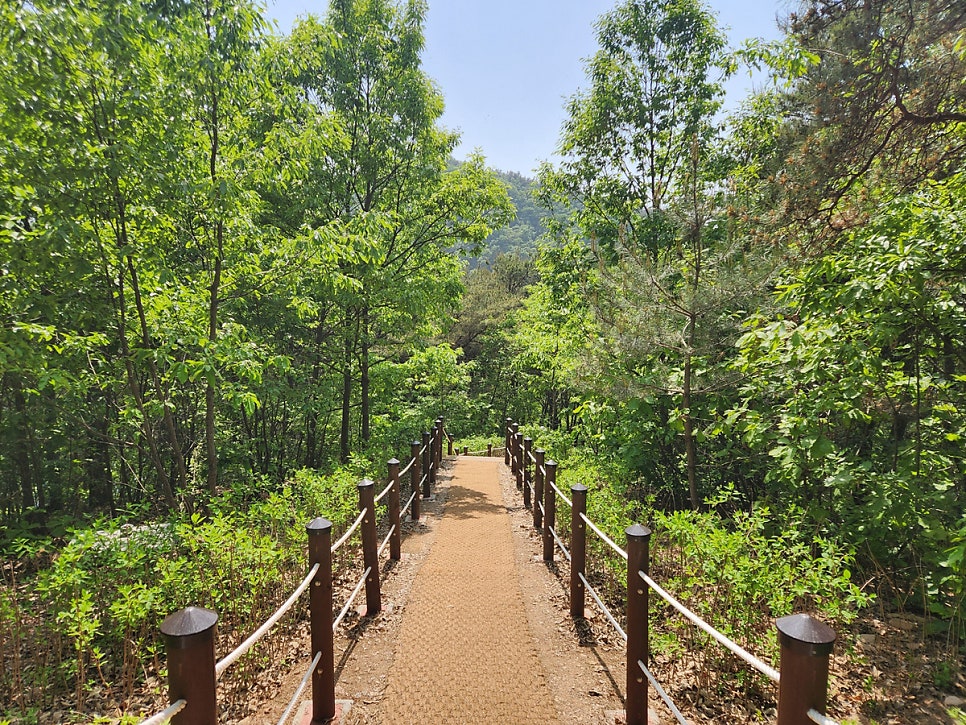 미르코스 이미지
