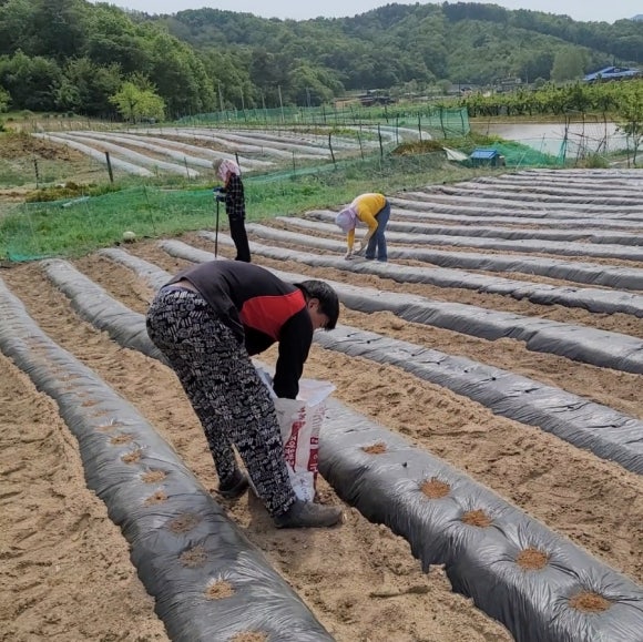 예안슈퍼 이미지