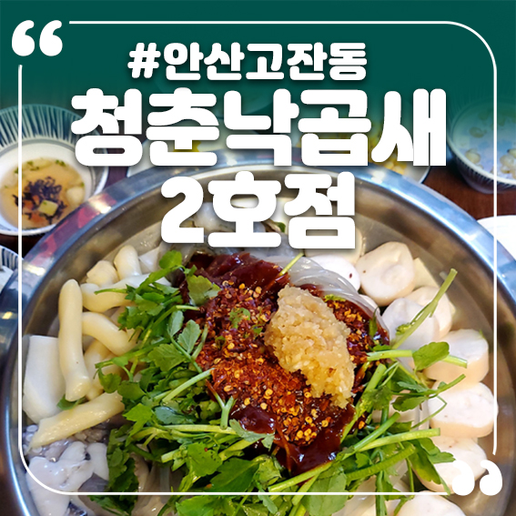 청춘낙곱새 이미지