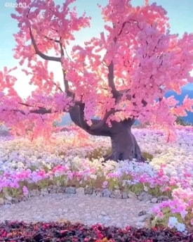오구쌀피자 이미지
