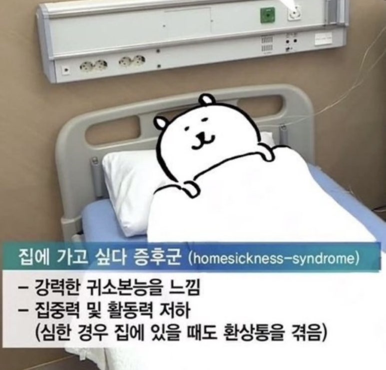 이팔청춘 이미지