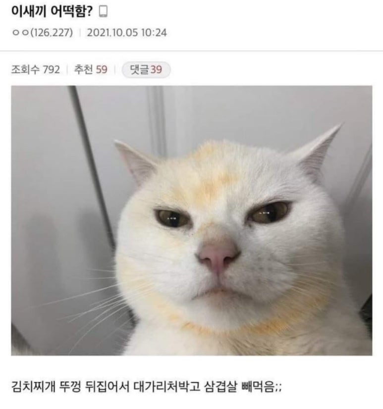 쁨이네 이미지