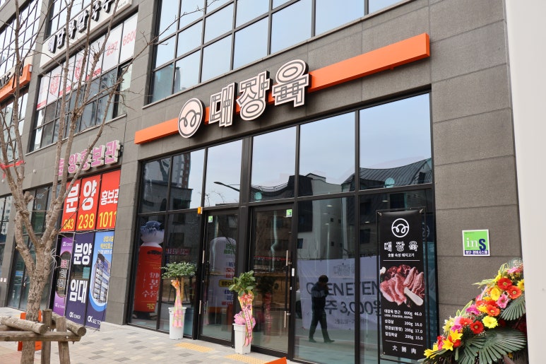 오송의 밤 이미지