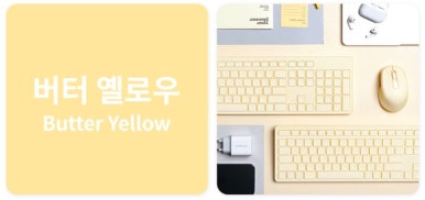 레드빈 이미지