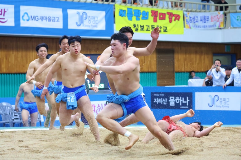 경남인삼 이미지