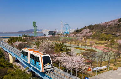 타코야끼 바다 이미지