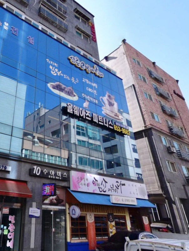 삼층고양이 이미지