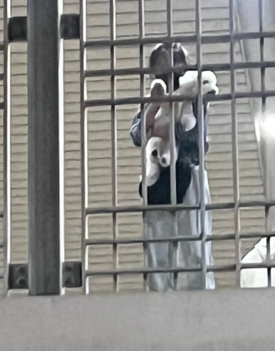 밥푸라 이미지
