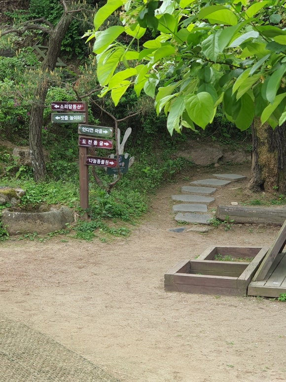 숲소리어린이집 이미지
