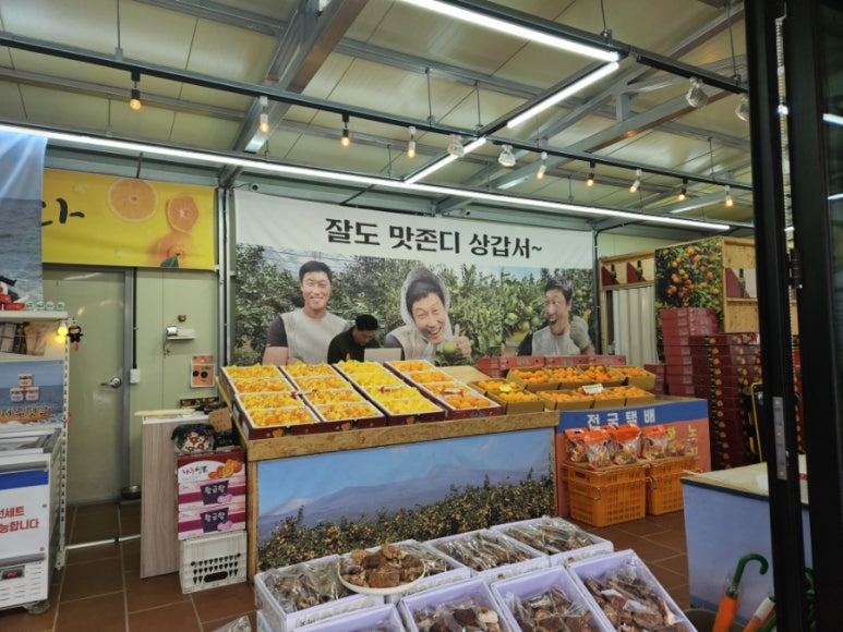 팔도렌트카 이미지