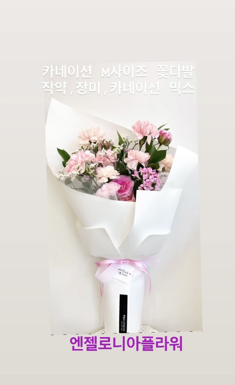 엔젤로니아플라워 이미지