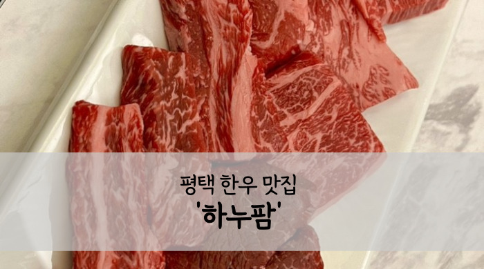 하누팜 이미지