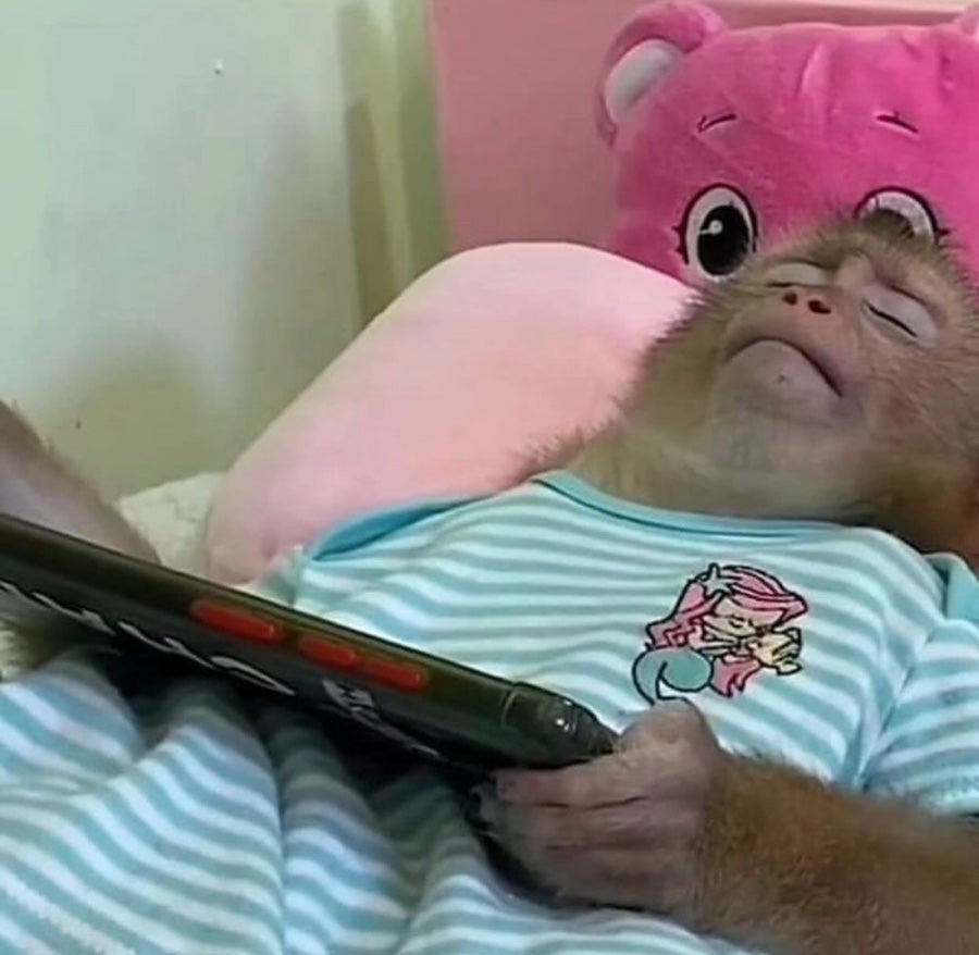 쭈꾸미일당백 이미지