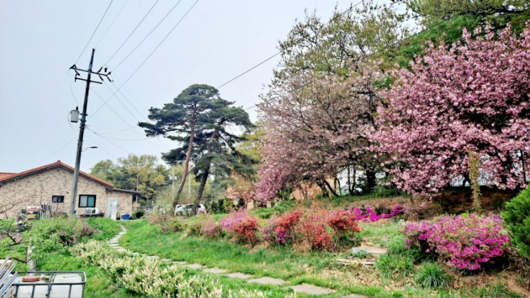 트리팜 이미지