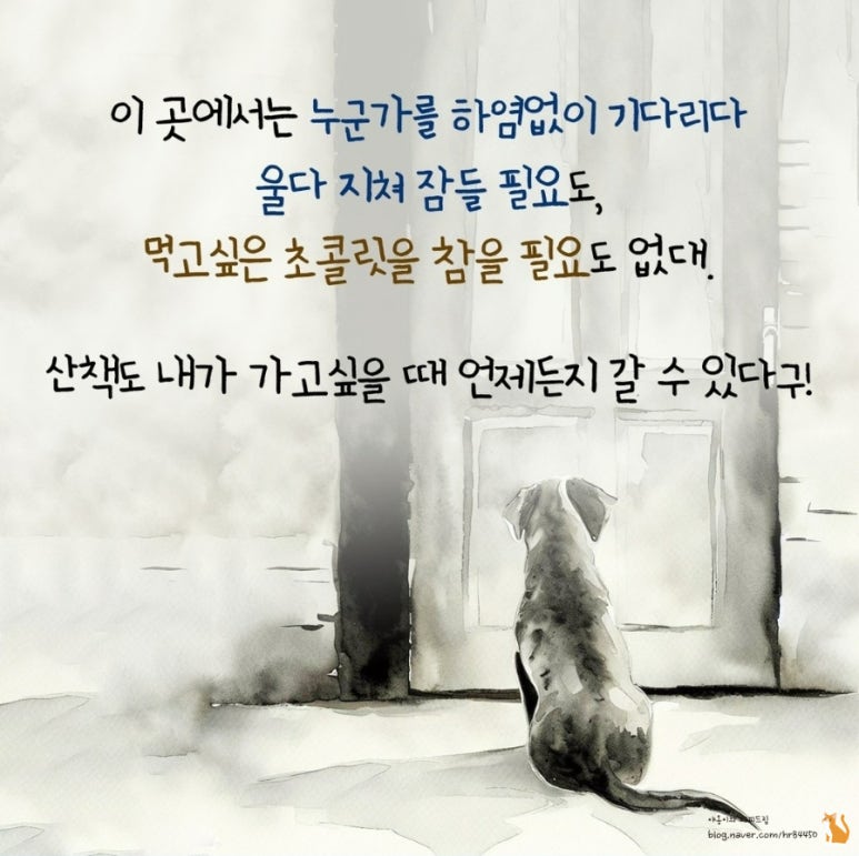 무지개광고 이미지