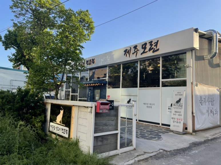 제주모련 이미지