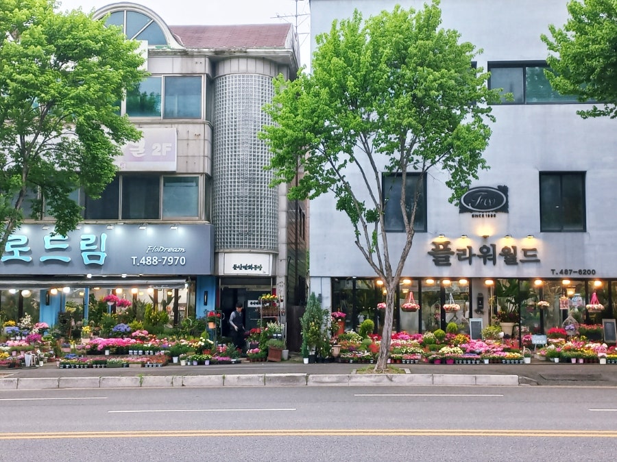 플로드림 이미지