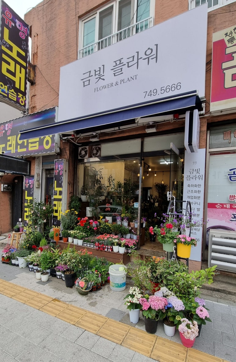 금광주유소 이미지