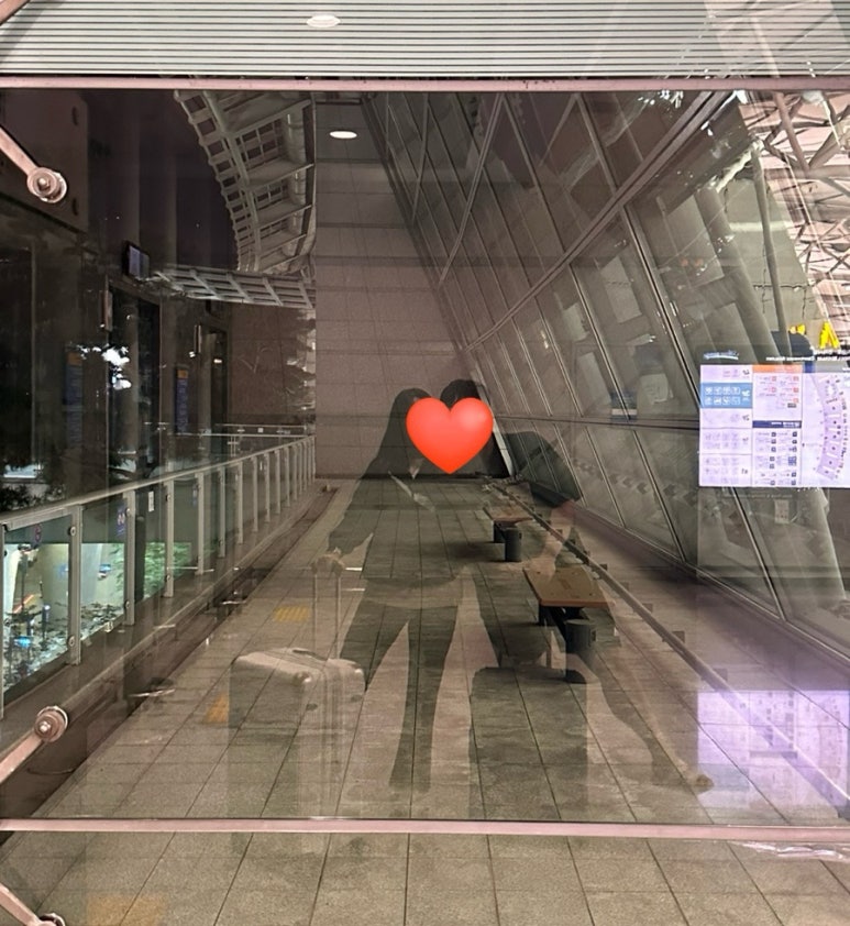 영차투어 이미지