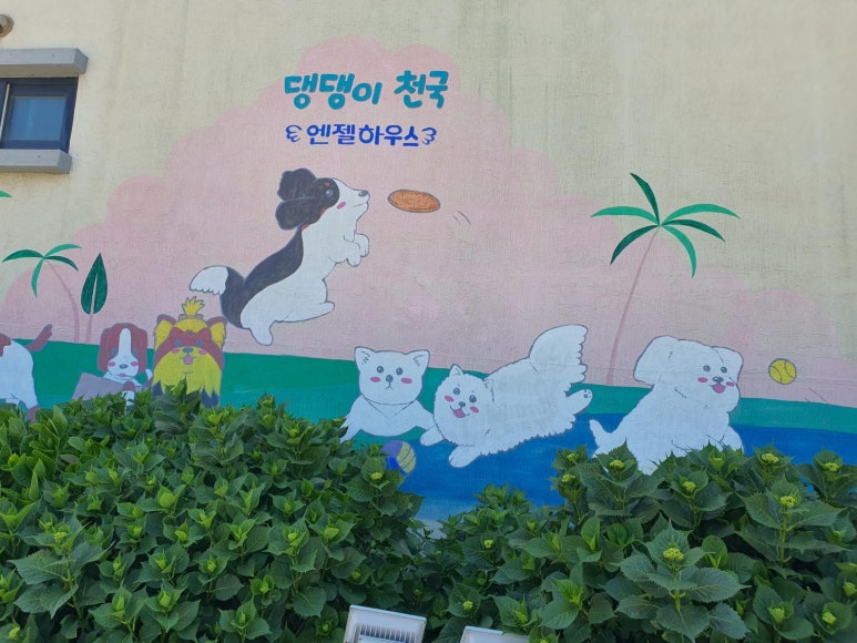 엔젤하우스 이미지