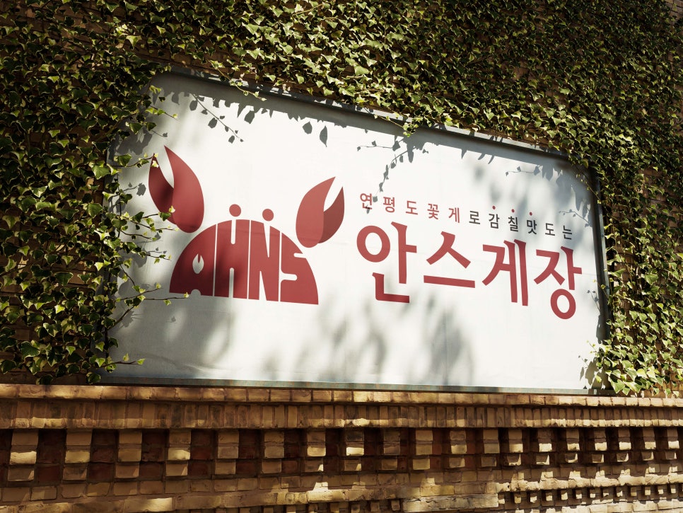 디자인안스 이미지