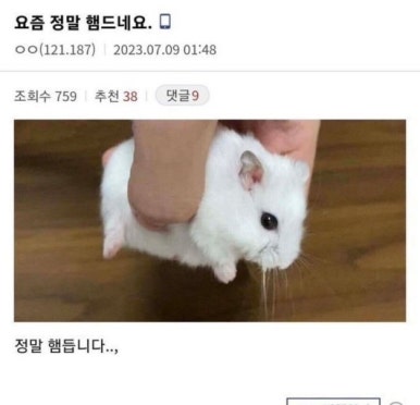일이삼사 이미지