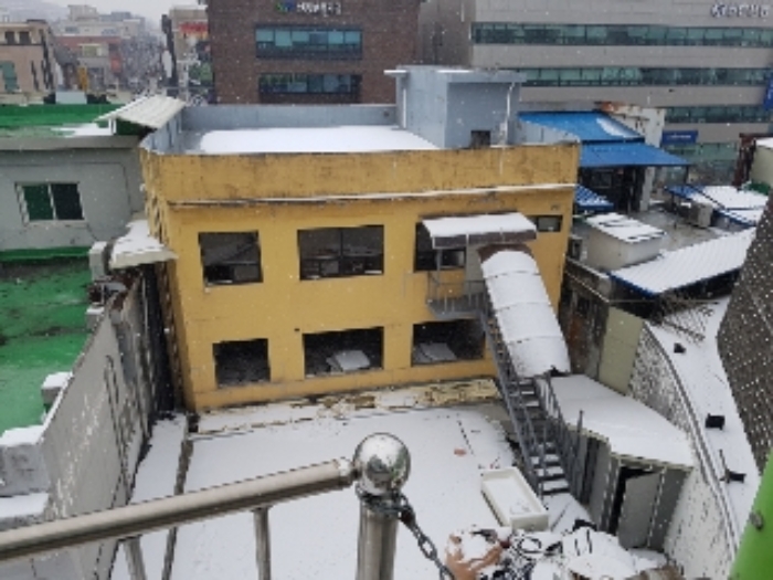 꼬투리걸 이미지