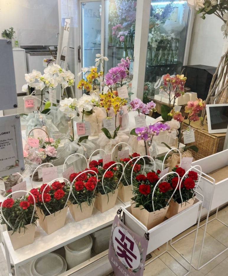 라포즈플라워 이미지