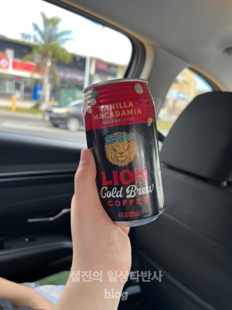 라이온렌트카 이미지