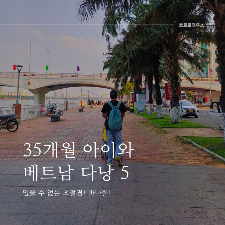 씬짜오투어 이미지