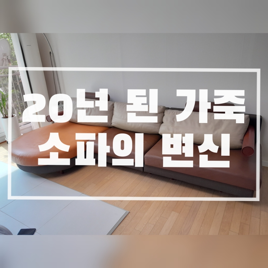 노블랜드크리닝 이미지