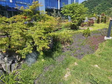 창고라이브 이미지